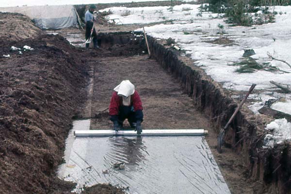binisuidenn_4.JPG